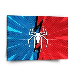 Obraz Spider - 150x110 cm