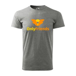 Tričko s potiskem Only Friends - šedé 3XL